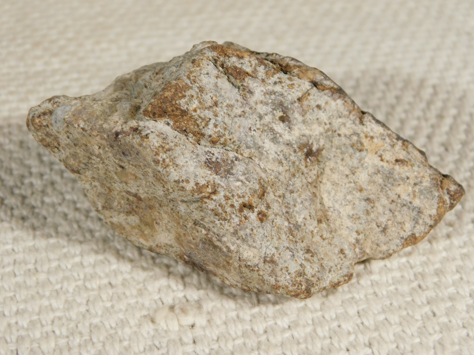 Classified NWA 8245 METEORITE 100% Natural FELL on Erfoud, Morocco 110gr
