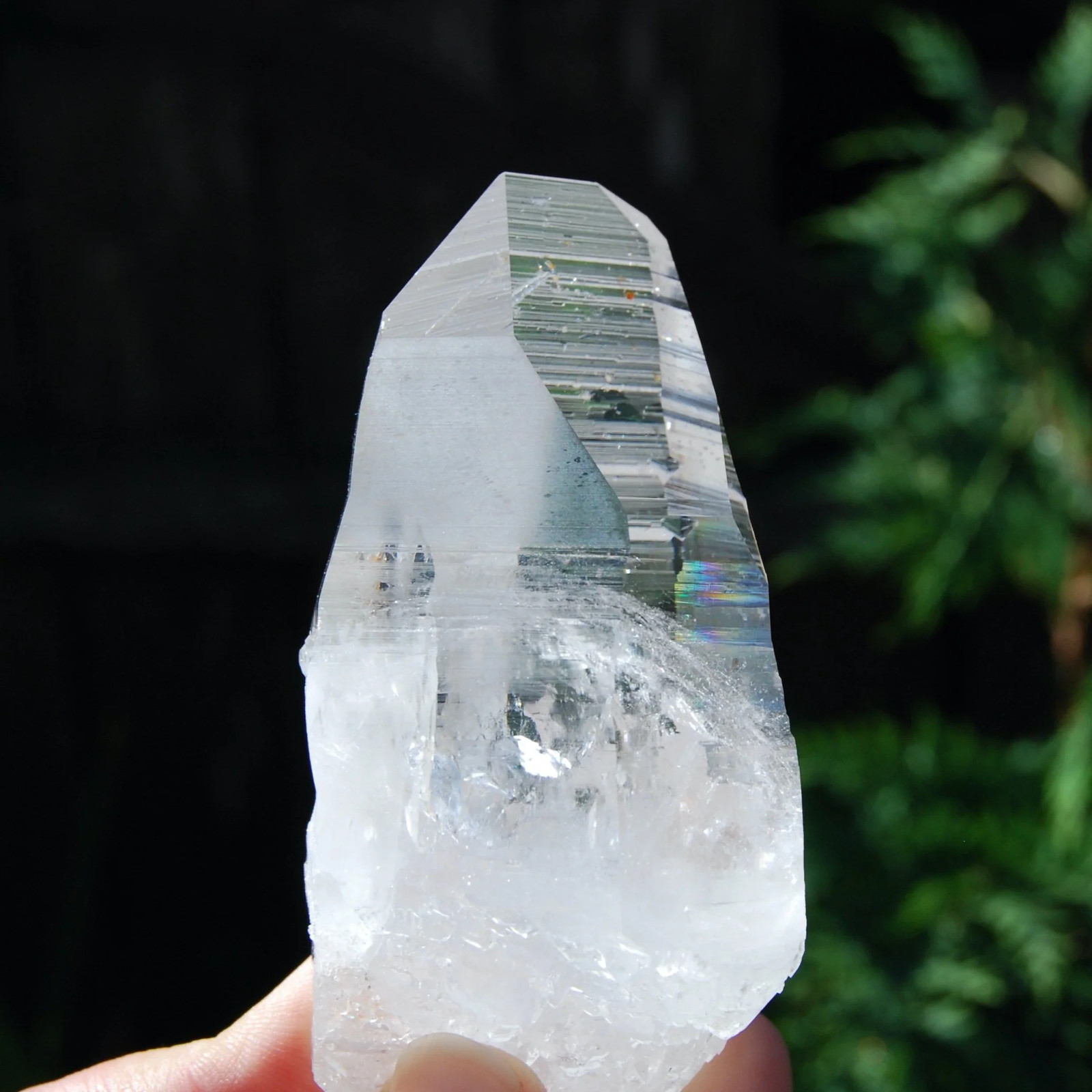4.25in 227g Colombian Lemurian Seed Crystal Laser Receiver, Self Healed Optical