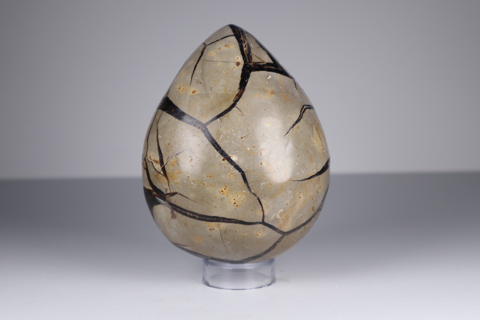 Huge Septarian Dragon Egg 4.3lb Calcite Crystal Cave Fossil Shell Display Stone