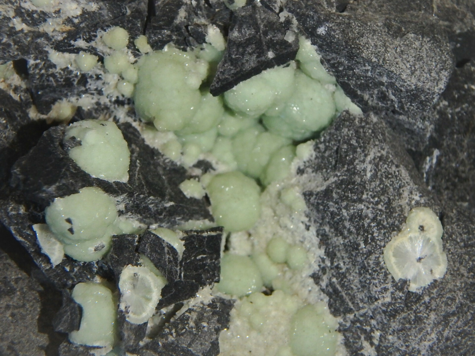 1 Lb 12 oz Wavellite in Matrix Montgomery County Arkansas 793 grams