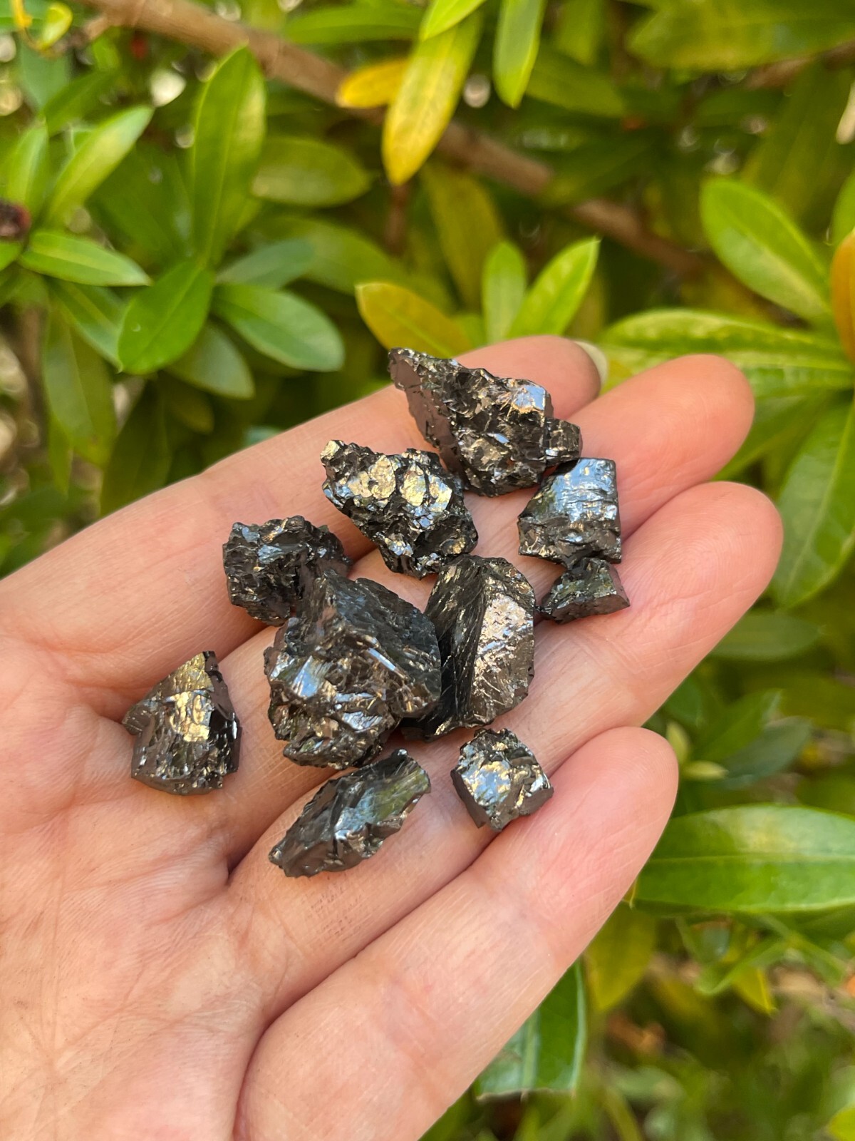 Grade A++ Small Elite Noble Shungite Stone, 0.2-1″ Raw Shungite, Bulk Lot