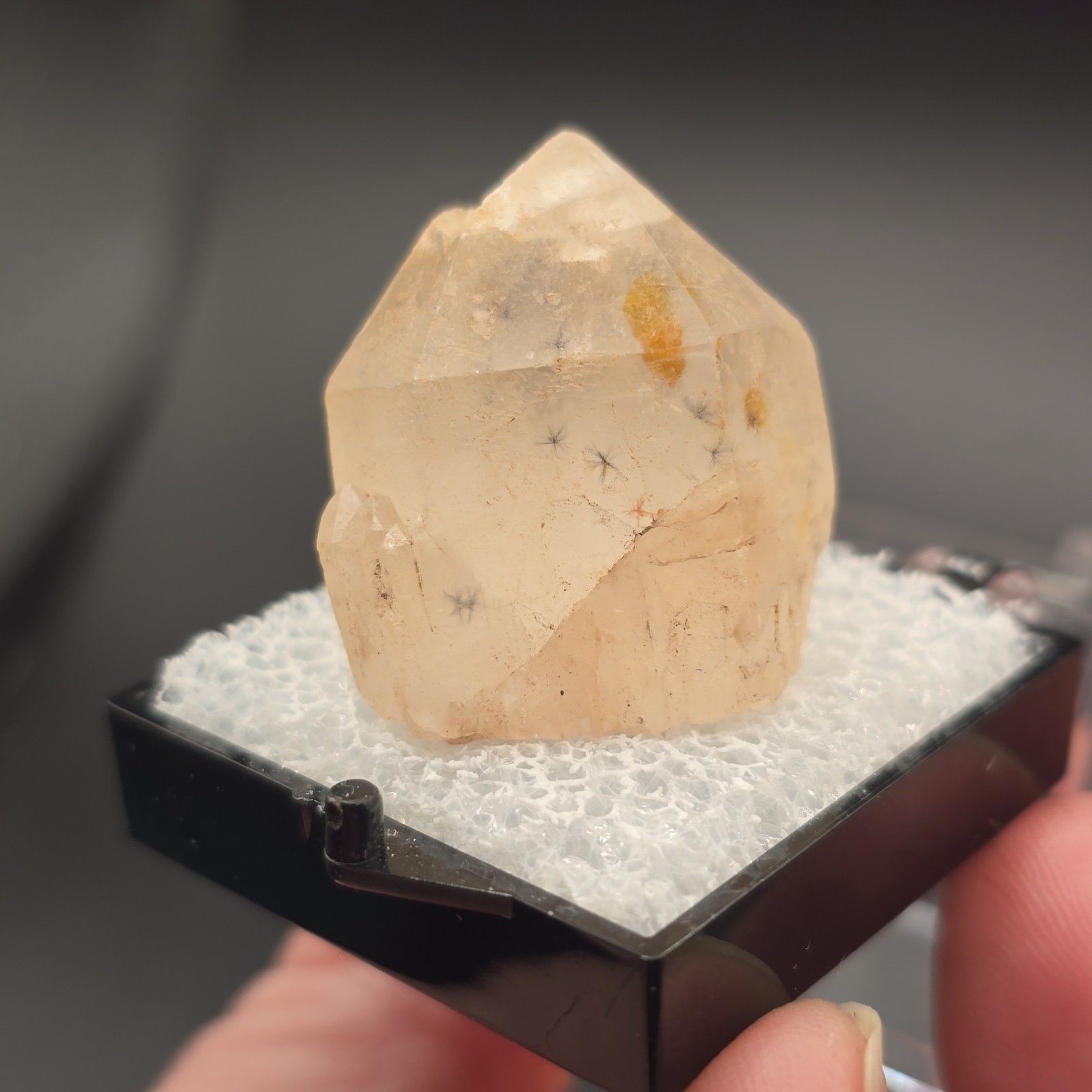Hollandite Spider Quartz Point Crystal Madagascar Gemstone Specimen in Perky Box