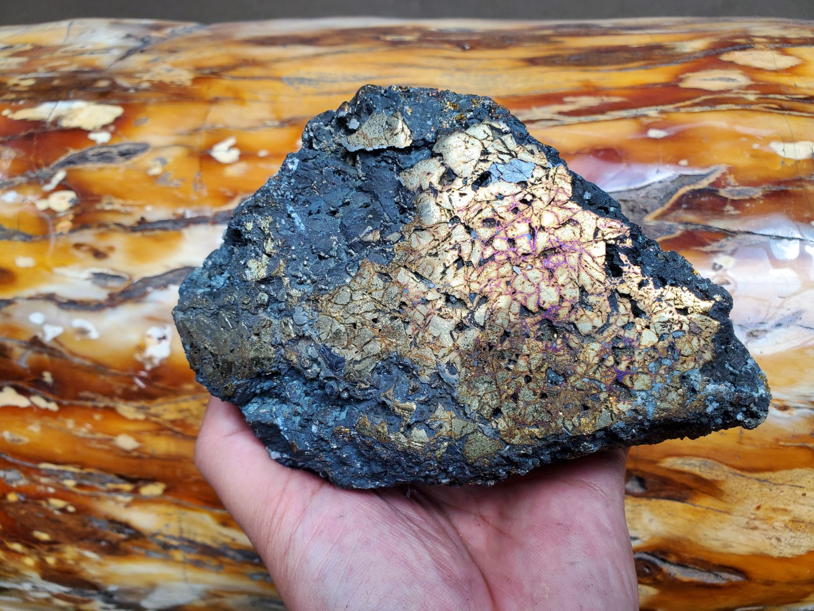 1469G Top Raw Sphalarite ,Chalcopyrite Peacock Partly Polished Specimen