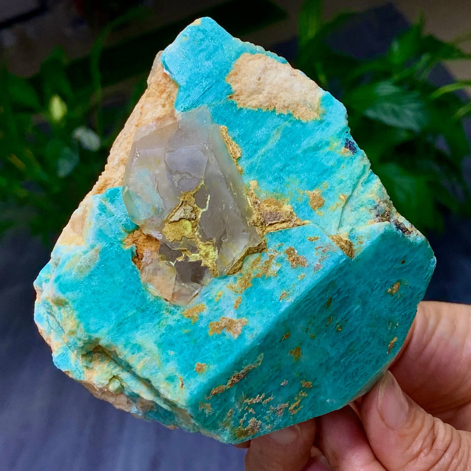 1.58LB Rare!! Natural beautiful Amazonite with Quartz Crystal Specimen Rough