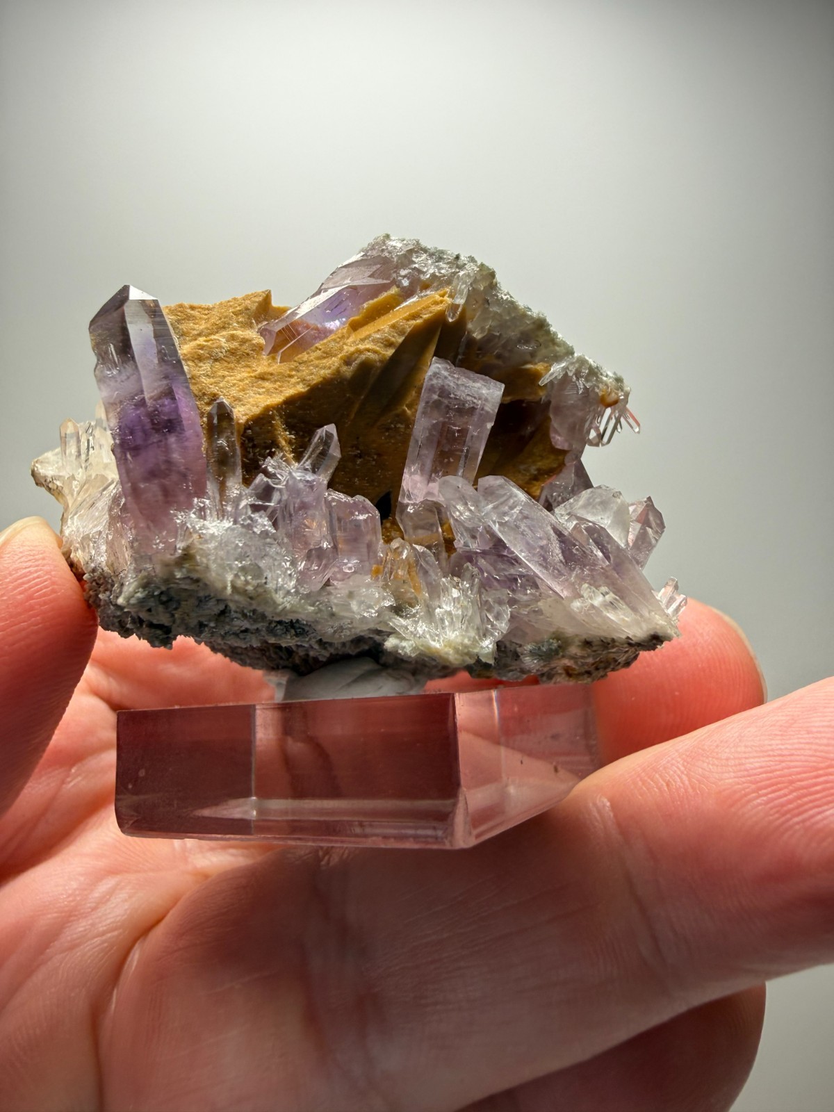 Stunning Amethyst cluster- unique formation! Las Vigas de Ramirez, Mexico