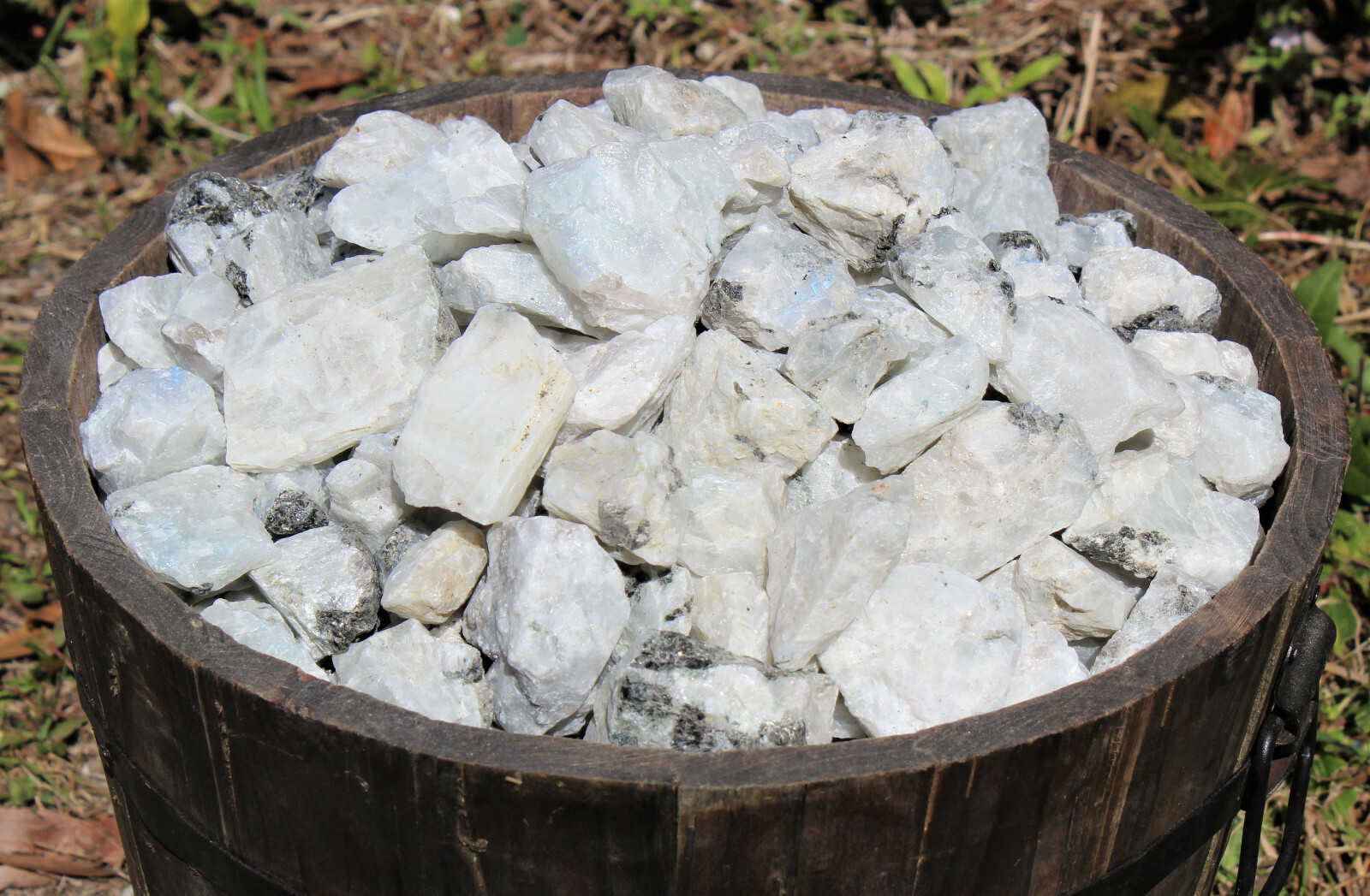500 Carat Lot Natural Rough Rainbow Moonstone Crystals (Raw Stone, 100 Grams)