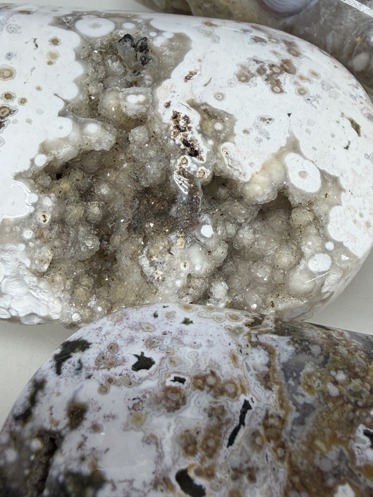 Wholesale Lot 1 Lb Natural Ocean Jasper Palm Stone Crystal Healing Energy.