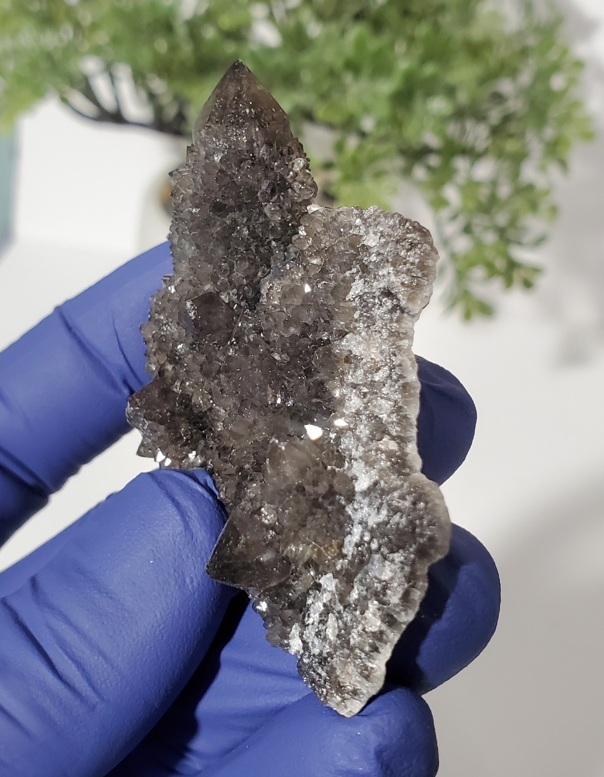 Black Spirit Quartz Cluster Specimen (Fairy Quartz) South Africa 34g