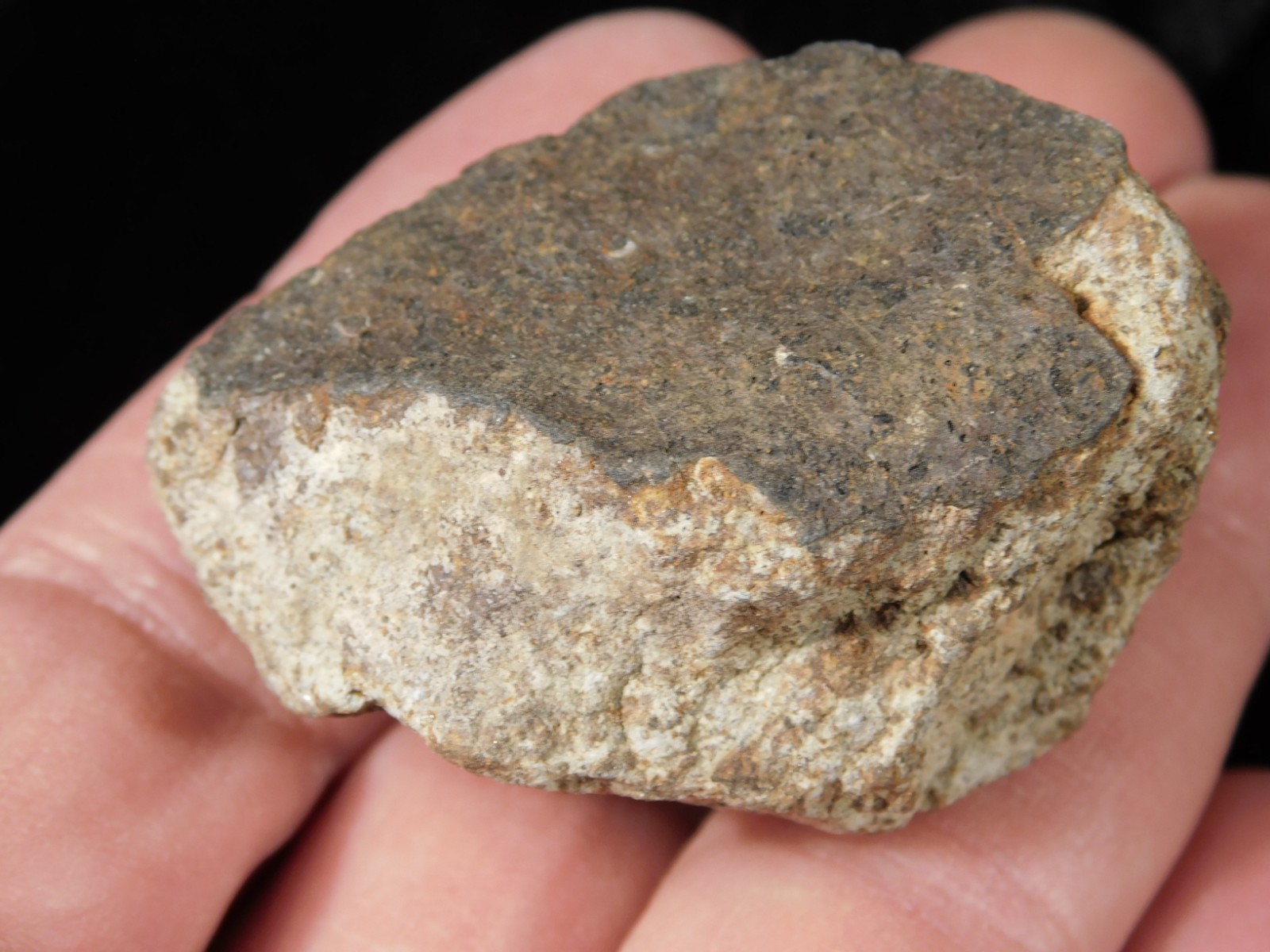 Classified NWA 8245 METEORITE 100% Natural FELL on Erfoud, Morocco 68.0gr