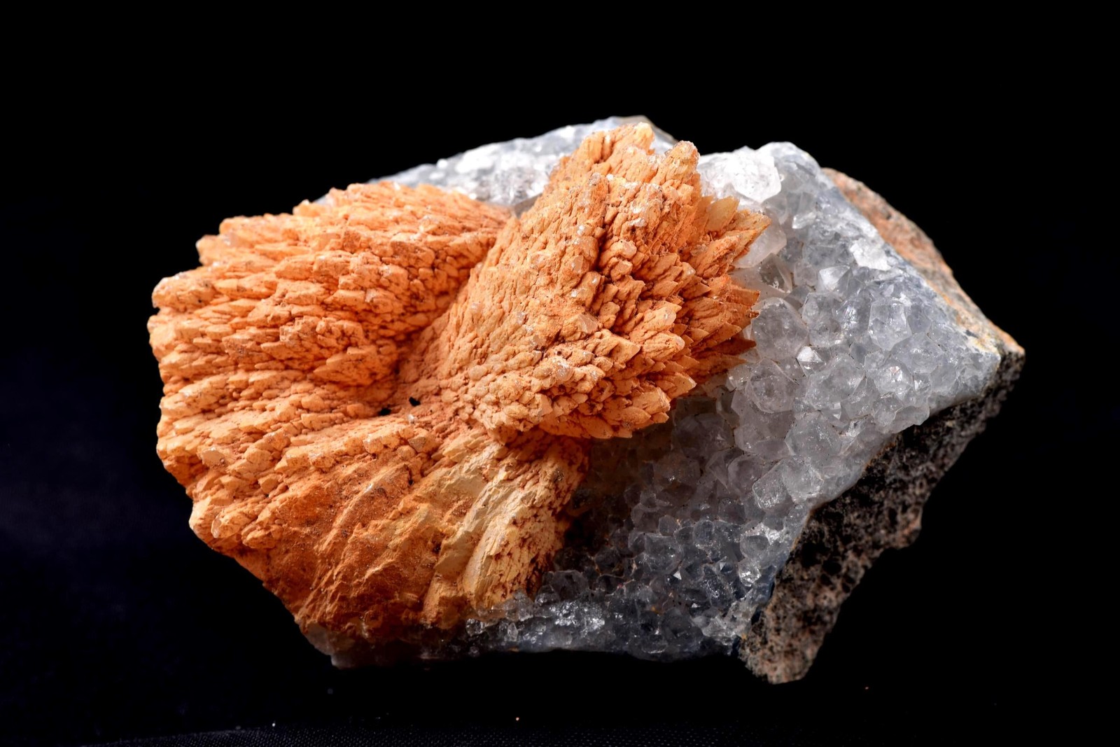 Peach stilbite flower on quartz helps with psychic knowing and intuition #8182
