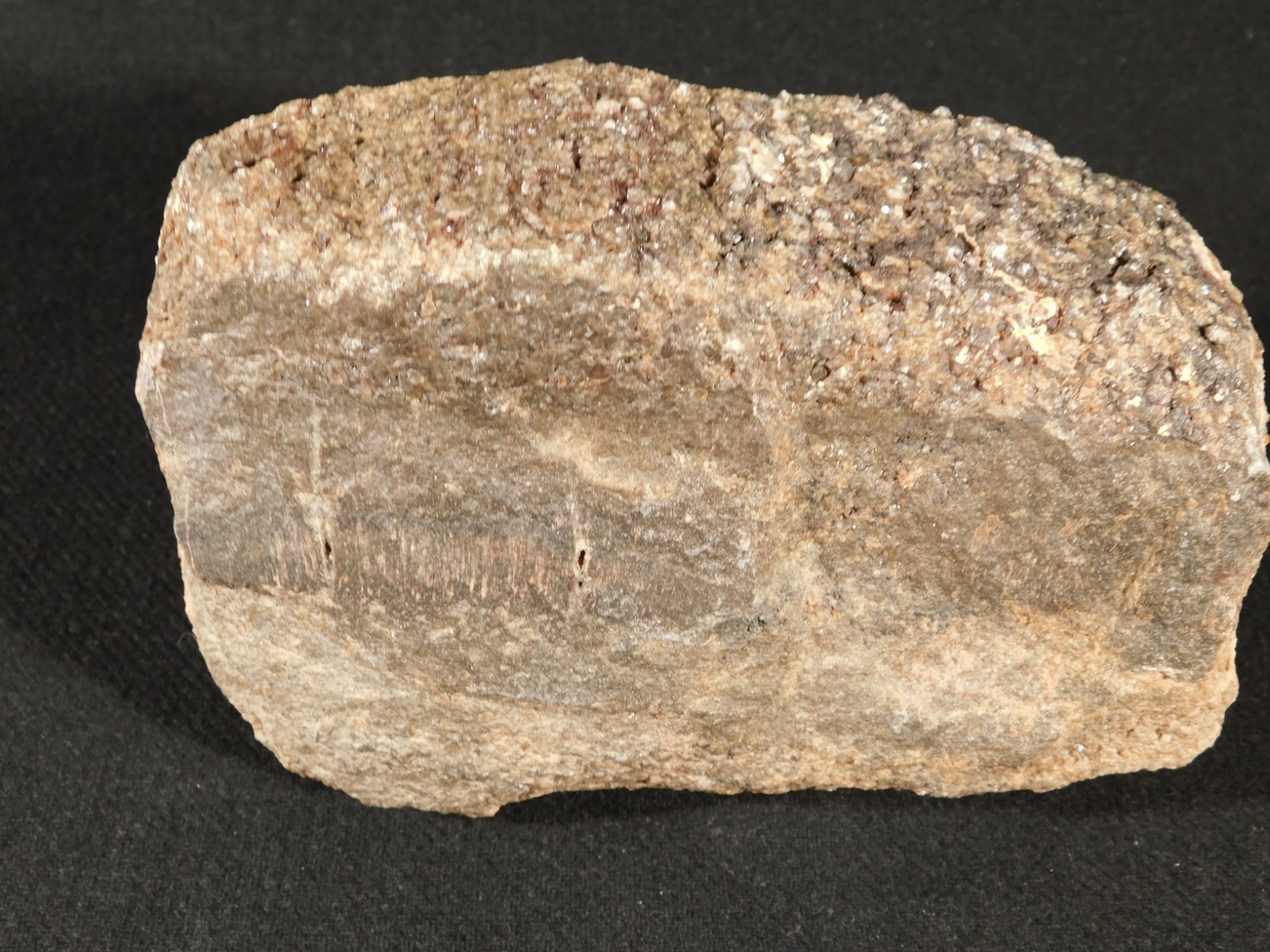 Big! Petrified Wood Fossil With SMOKY Quartz CRYSTALS Utah 2362gr