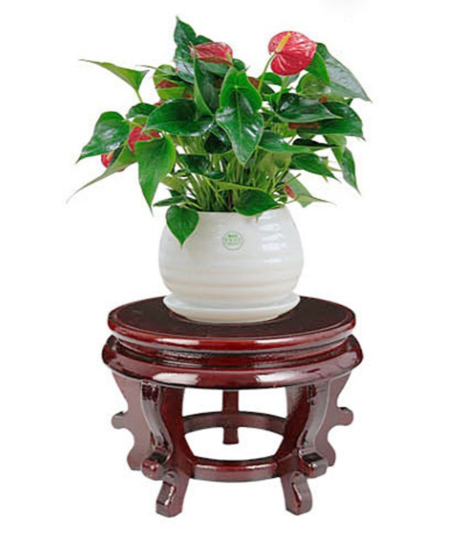 Chinese Display Stands Hand-Crafted Rosewood Oriental Vase Stand accessories …