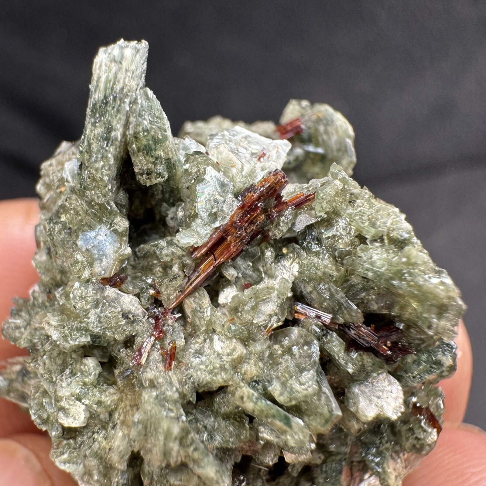 Lot of 4 Green Crystalized Mica Crystal Clusters with Rare Red Rutile Crystals