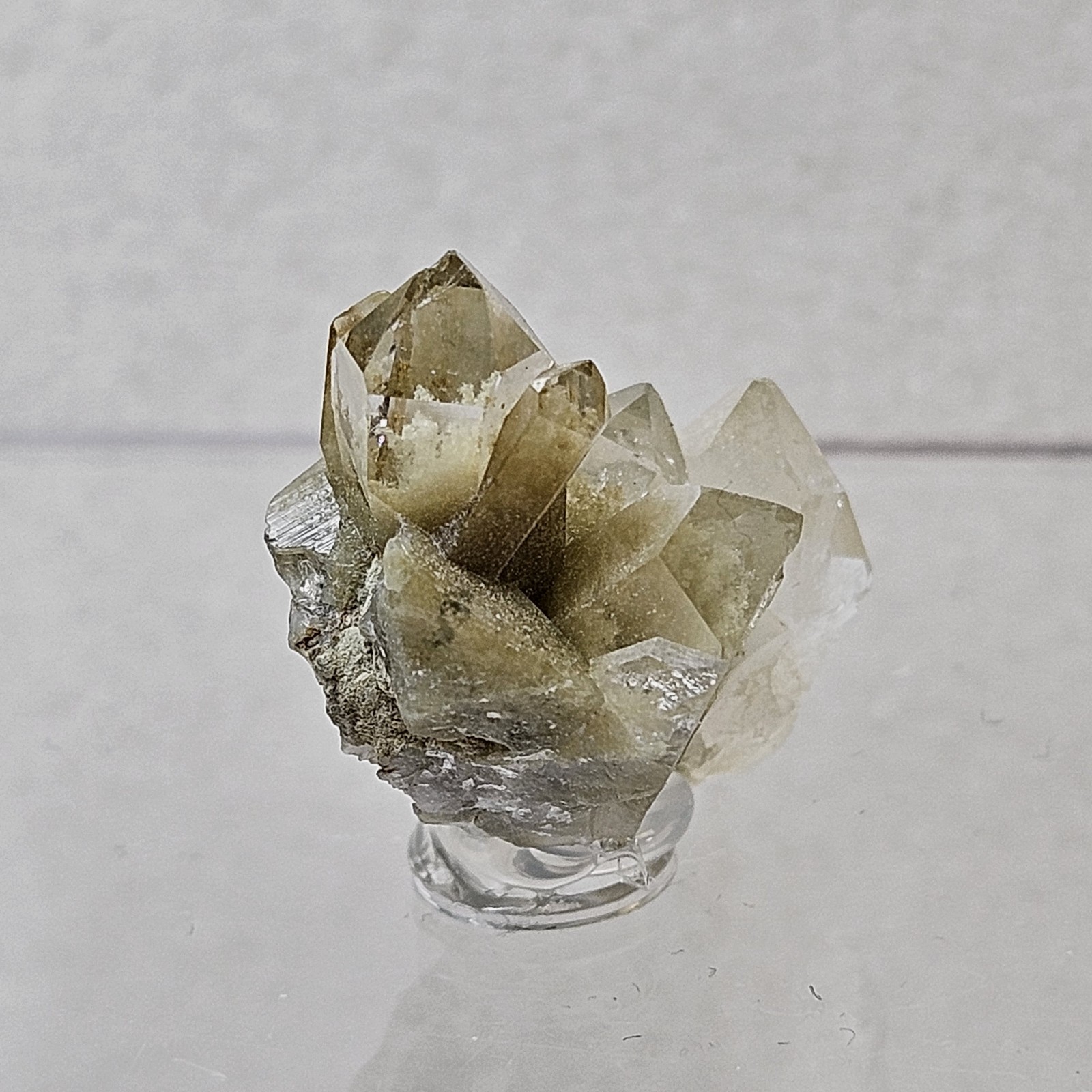 Natural Green Chlorite Included Quartz Cluster Specimen Garden Quartz U.S Seller