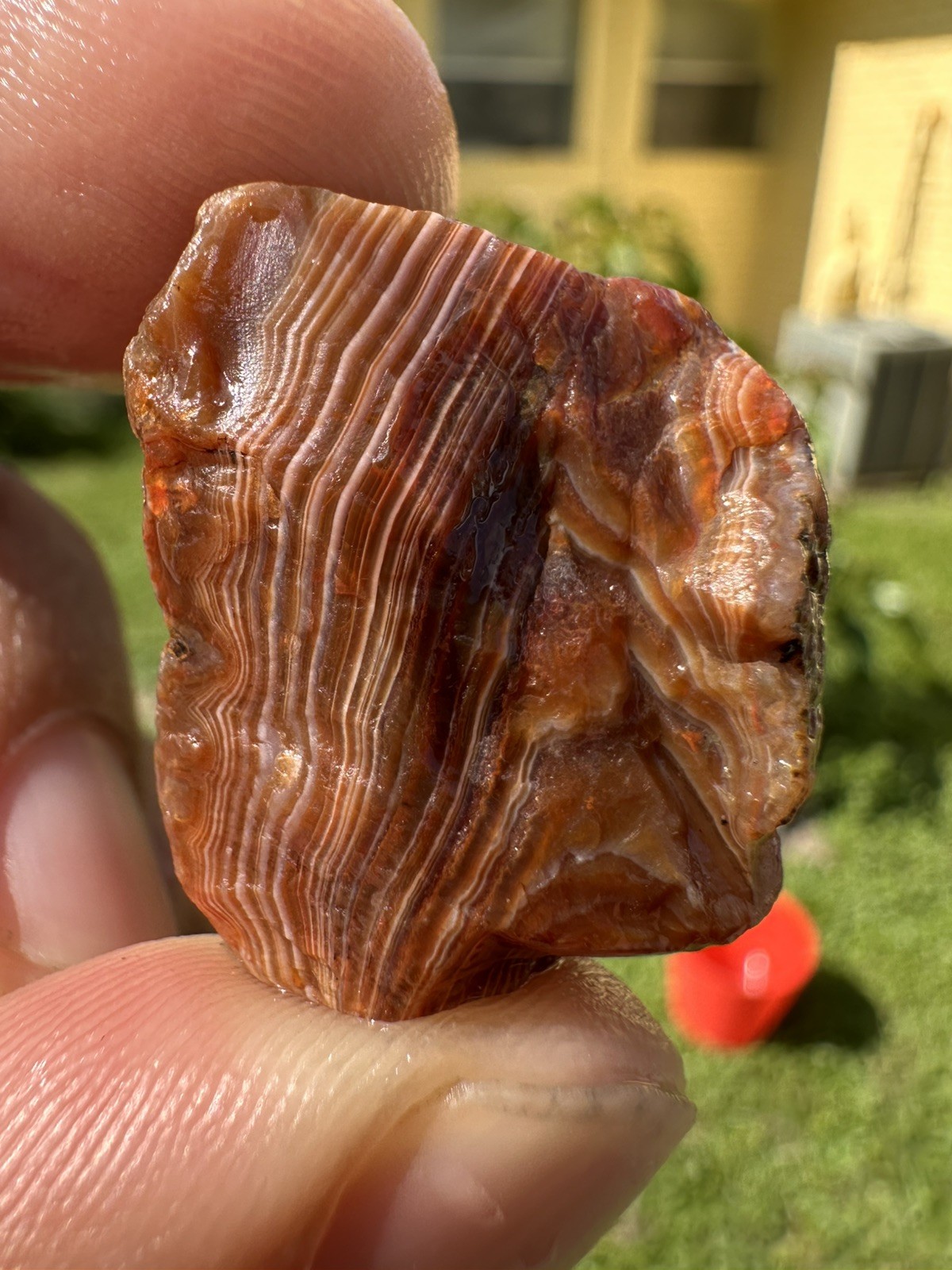 3.65 oz Lake Superior Agate Lapidary Lot 5 Multicolor Beauty’s