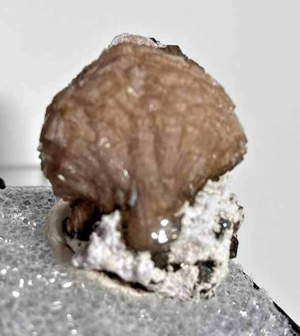 Exquisite VERY Rare Poldervaartite (Olmiite variety) & minor Calcite. S.A.