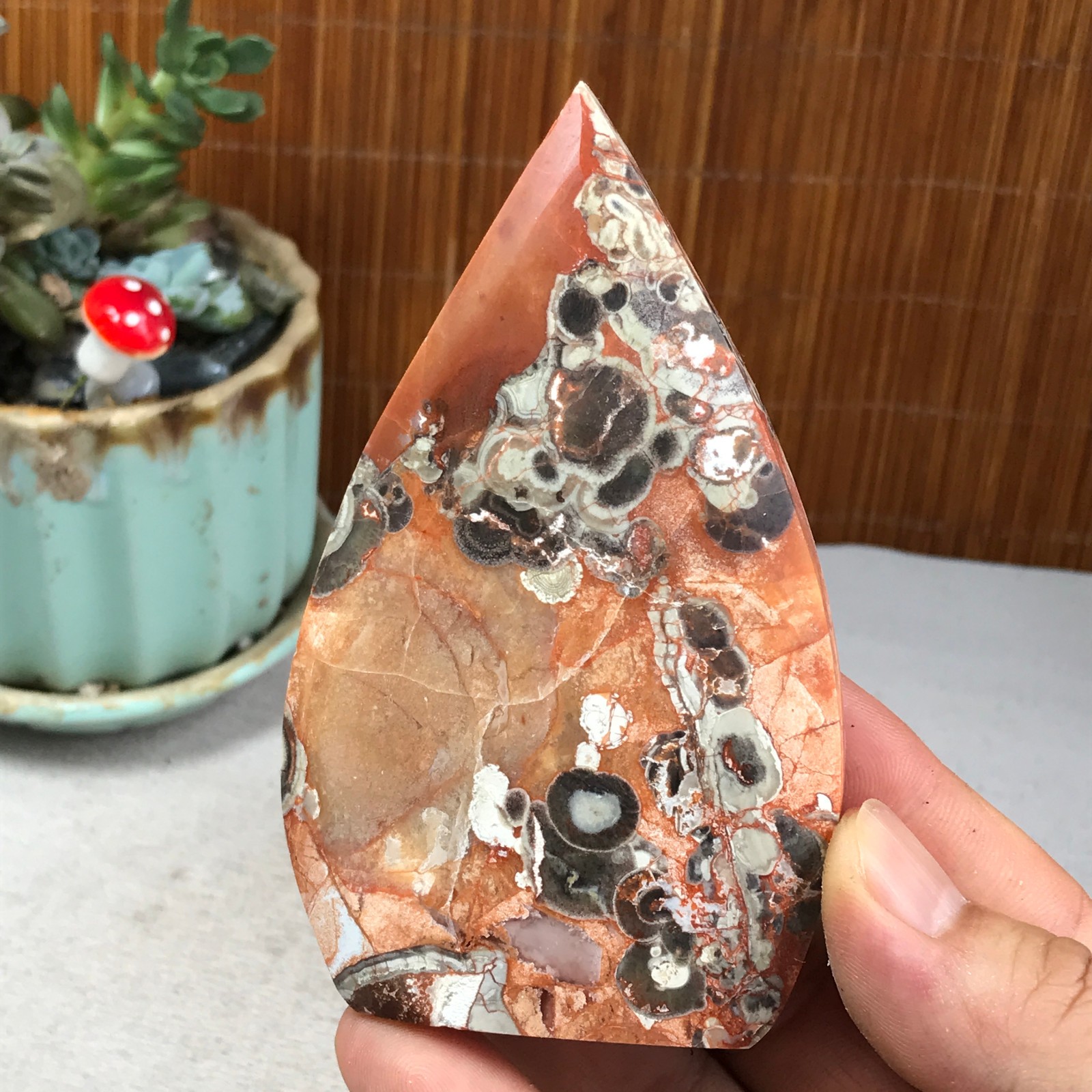 Natural money Mexico agate hand carve leaf Crystal Specimen free standing A6261