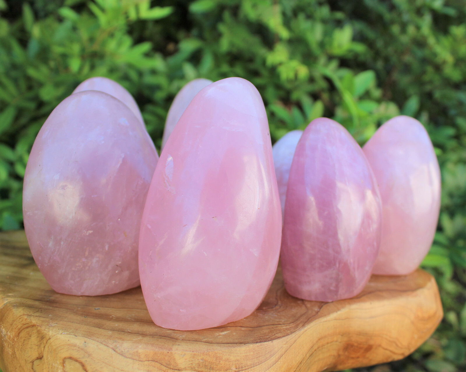 LARGE Polished Rose Quartz Freeform: Cut Base Free Standing Display Specimens