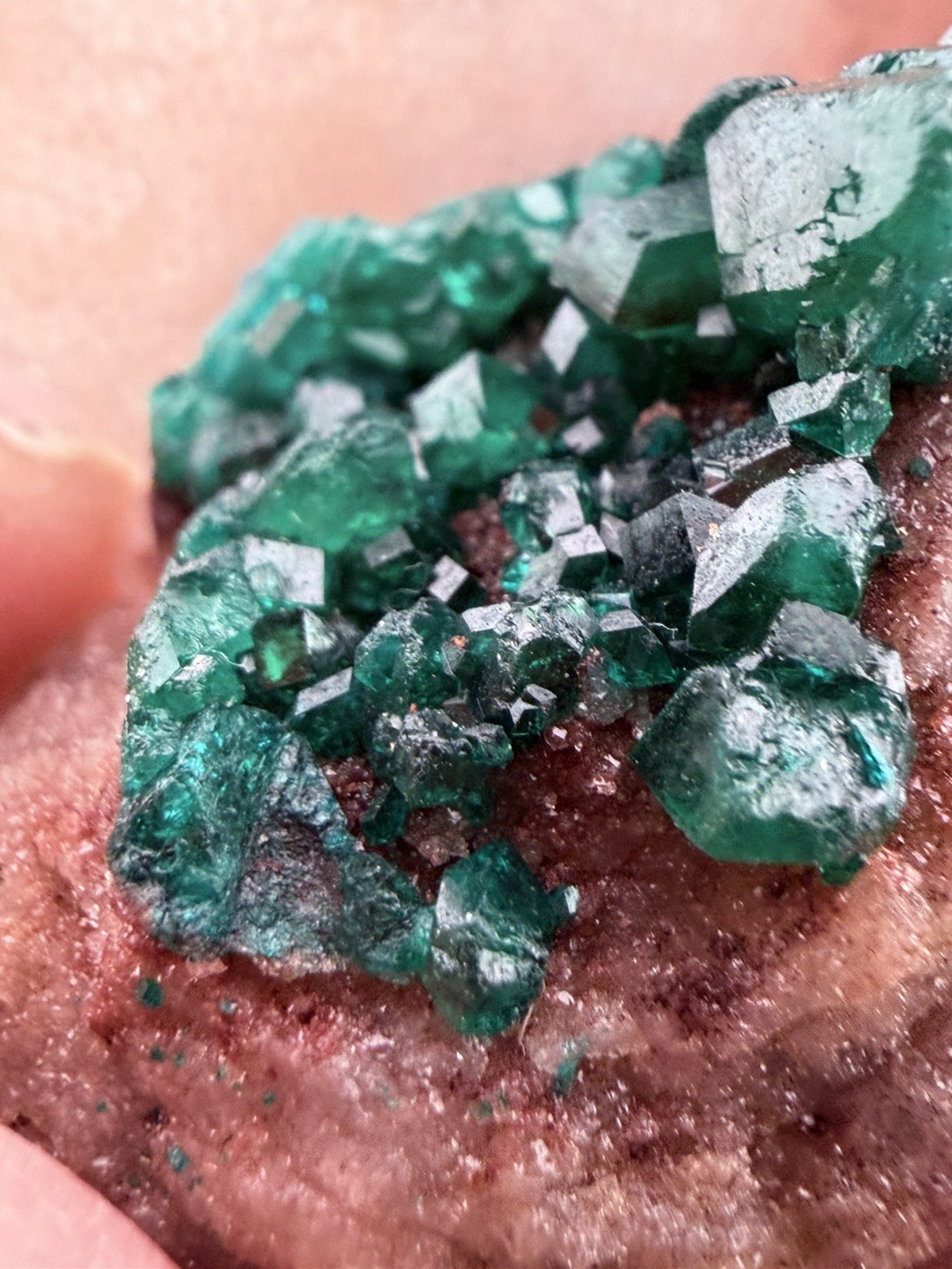 Emerald Green Dioptase Crystal Cluster from the Congo in Africa 22.6 g.