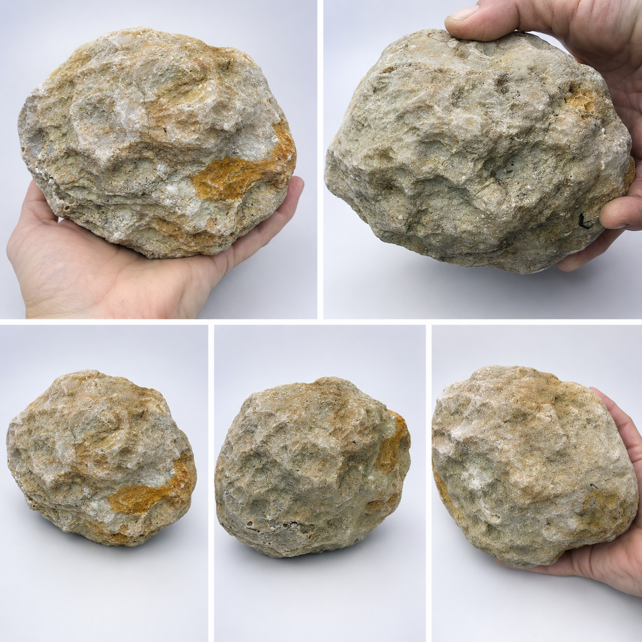 Large Natural Kentucky Geode 4.04 lb 6 in Whole Unopened Exact Mineral Specimen