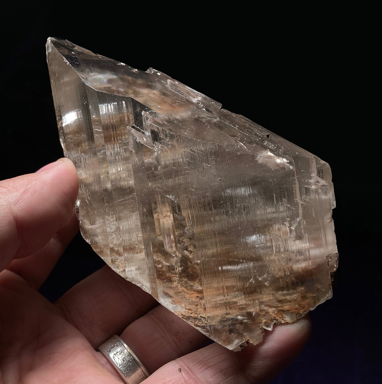 GYPSUM SELENITE NAICA MINE – Sharp single crystal LARGE – CHIHUAHUA MEXICO –