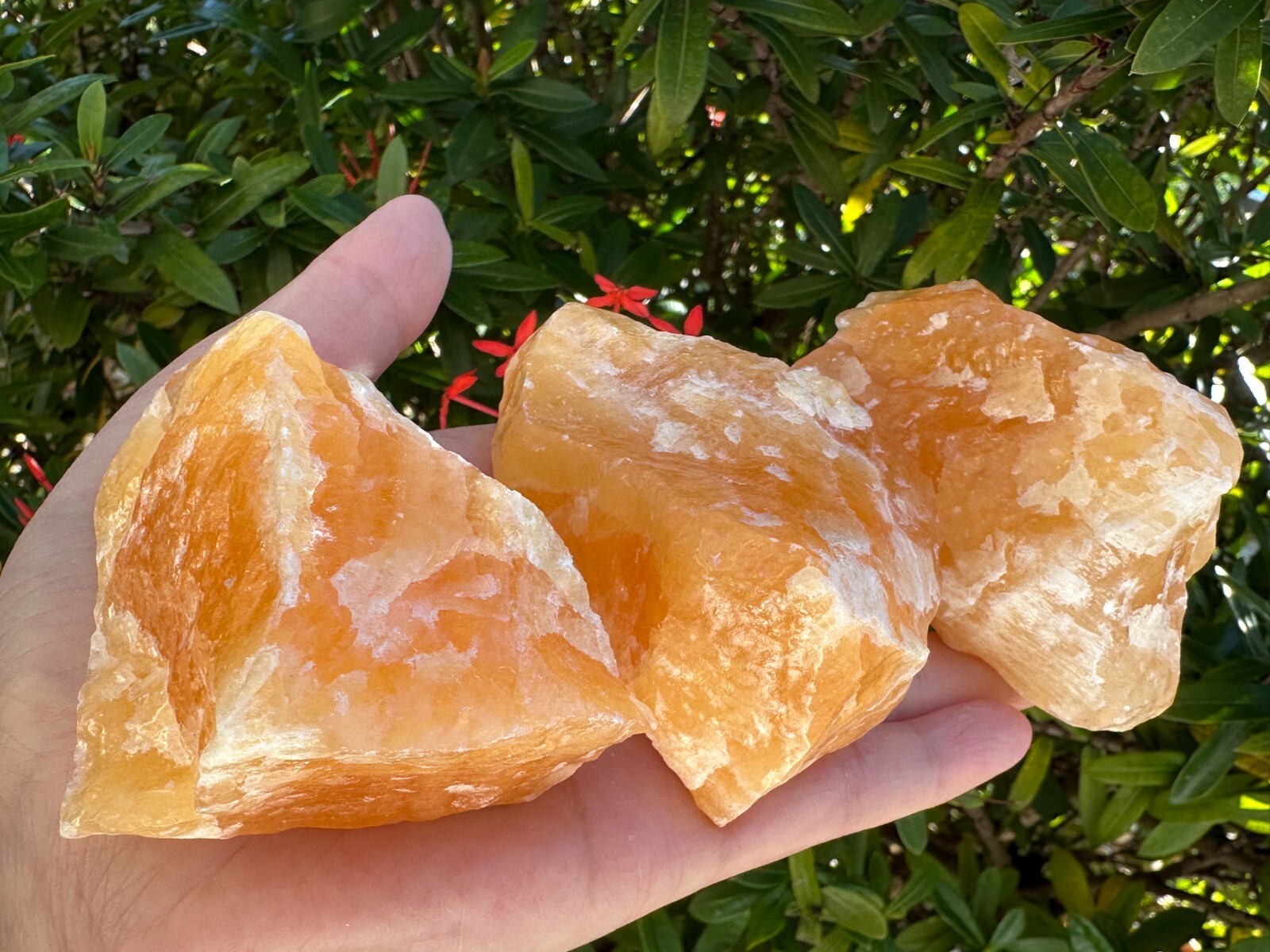 Extra Large Orange Calcite Rough Stones, 3″ – 5″ Raw Calcite Orange Natural