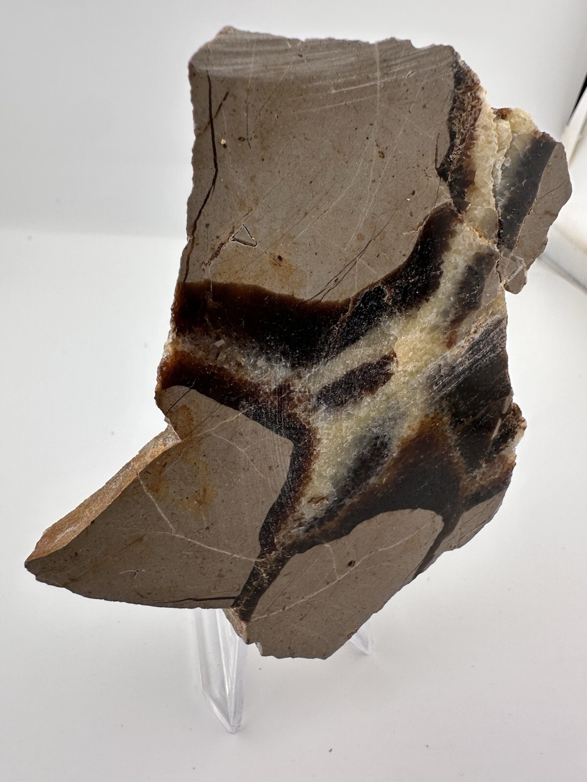 Polished Septarian End Piece Thick Slab 4″ X 3″ 8.3 oz Natural Art!