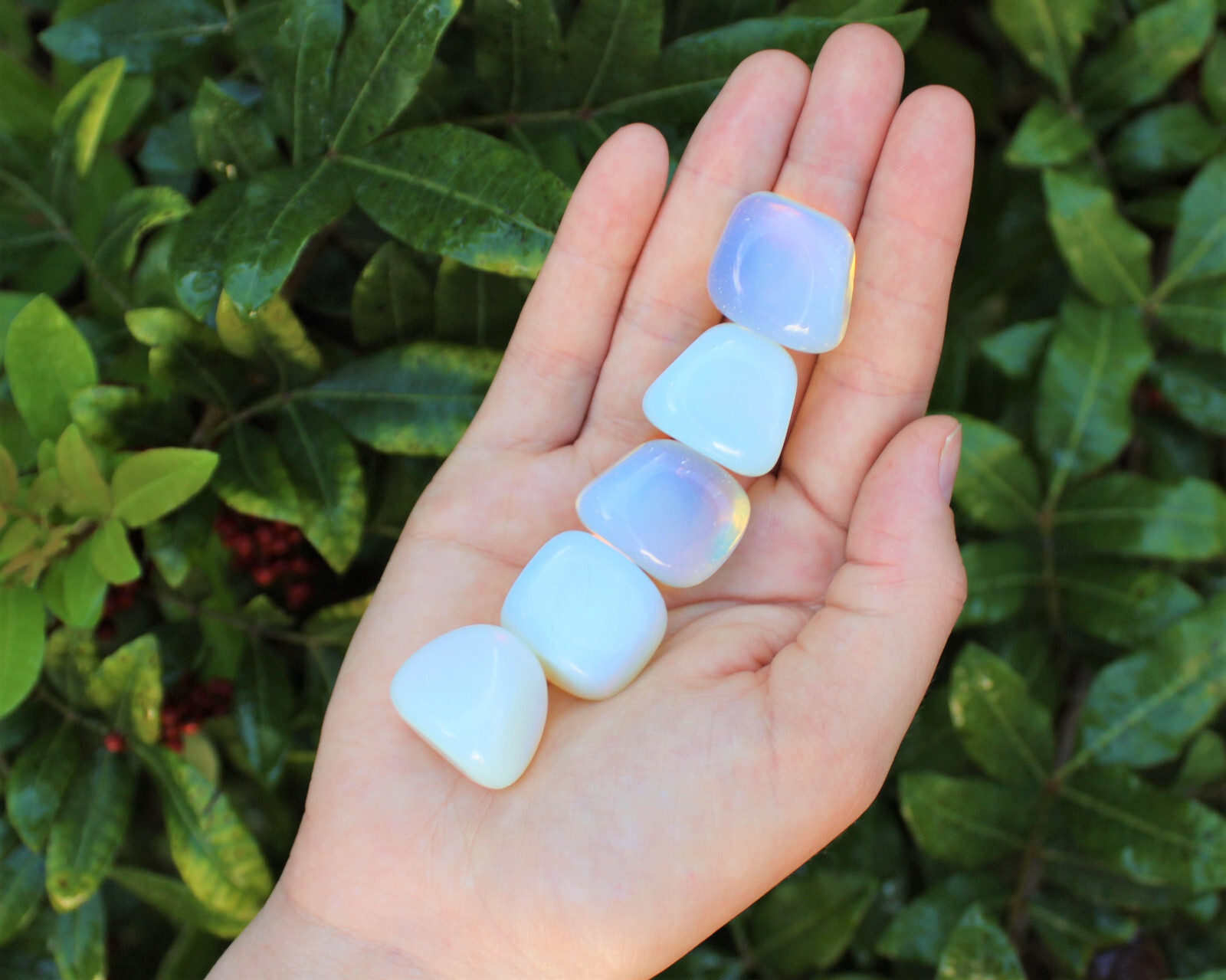 1 lb Bulk MEDIUM/LARGE Opalite Tumbled Stone Crystal Healing Gemstone 16 oz