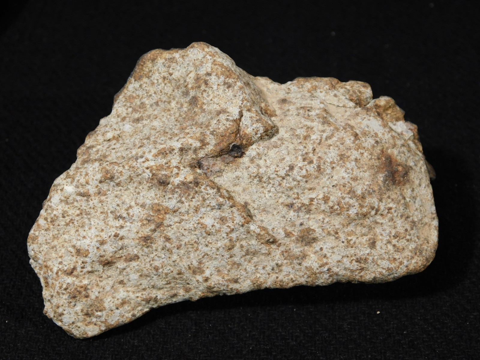 Larger! Classified NWA 8245 METEORITE 100% Natural! Erfoud, Morocco 184gr