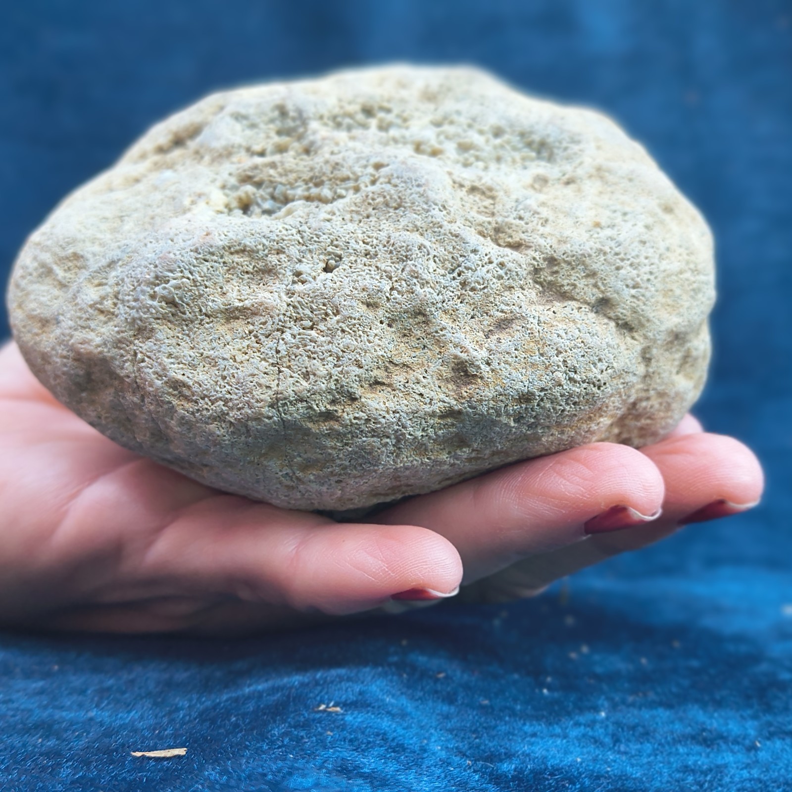 Large Kentucky Geode 3–5 inch – Crack Open Giant Quartz Crystal Rock – Authentic