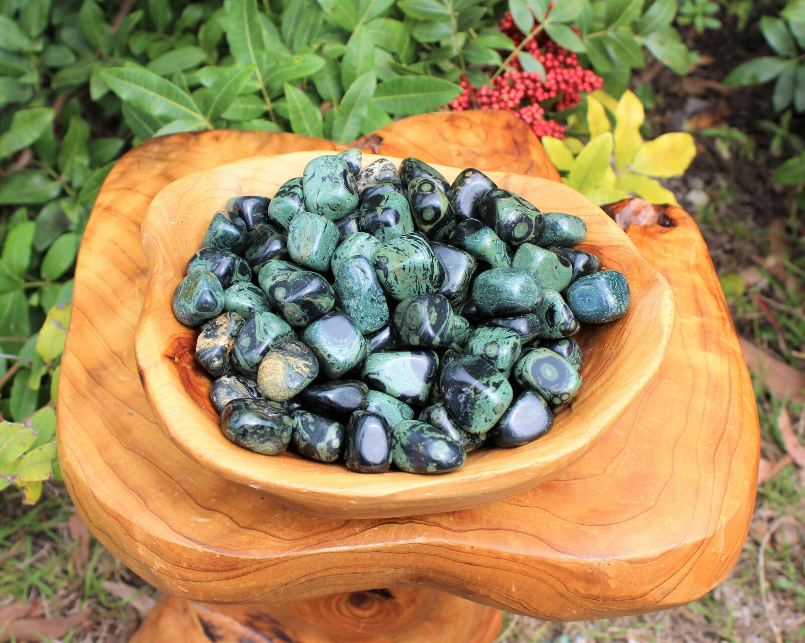1/4 lb Bulk Lot Kambaba Jasper Tumbled Stone (Crocodile Jasper) 4 oz