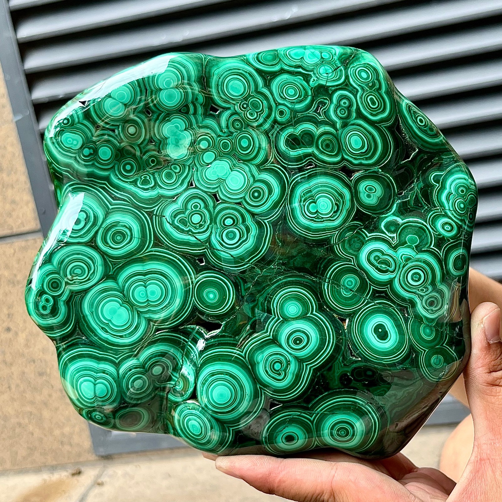 Natural Malachite Stone Polished Slab Bull Eye Pattern Display Decor 7.1 lb