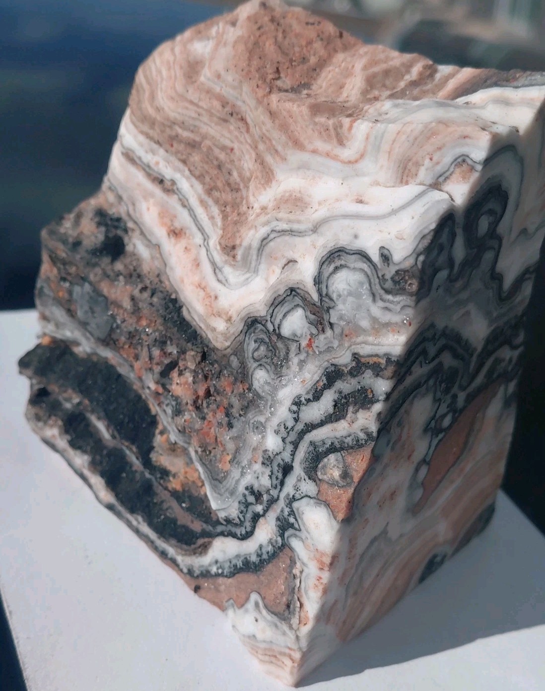 Zebra Calcite Self-Standing Display 1 1/4 Lb Dendritic Psychedelic Crisp Bands