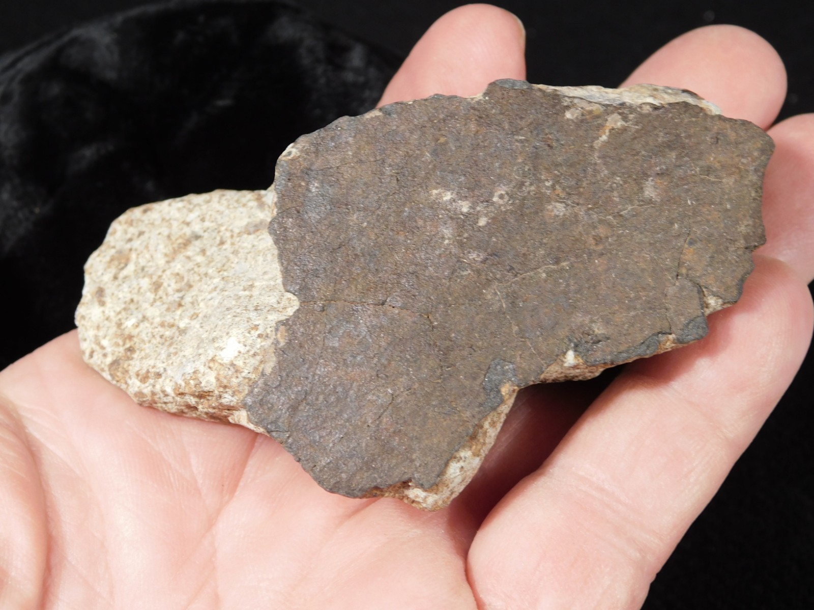 Larger! Classified NWA 8245 METEORITE 100% Natural! Erfoud, Morocco 184gr