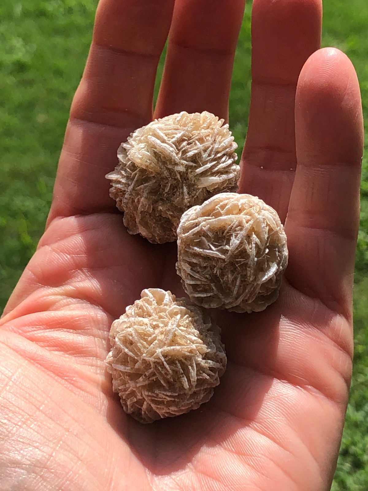 DESERT ROSE SELENITE GYPSUM Crystal Cluster Mineral Specimen 170.6 Grams For All