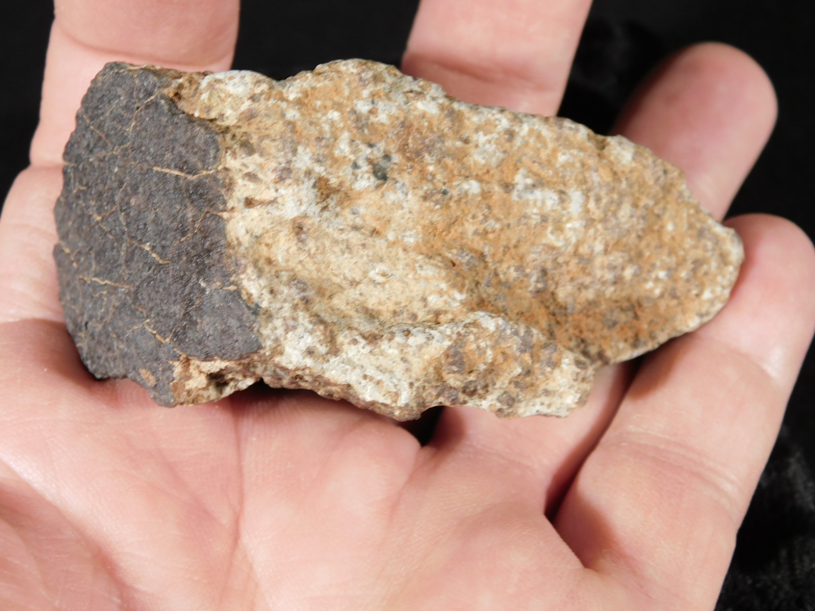Classified NWA 8245 METEORITE Spots of Dark Fusion Crust! Erfoud, Morocco 136gr