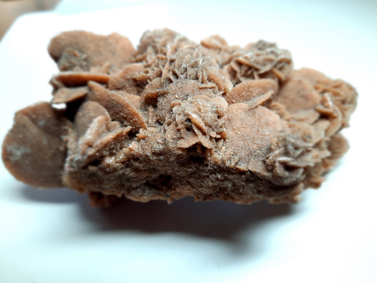 LARGE DESERT ROSE GYPSUM 6 1/4 x 3 1/2 x 2 1/4 Rock Mineral Crystal Stone