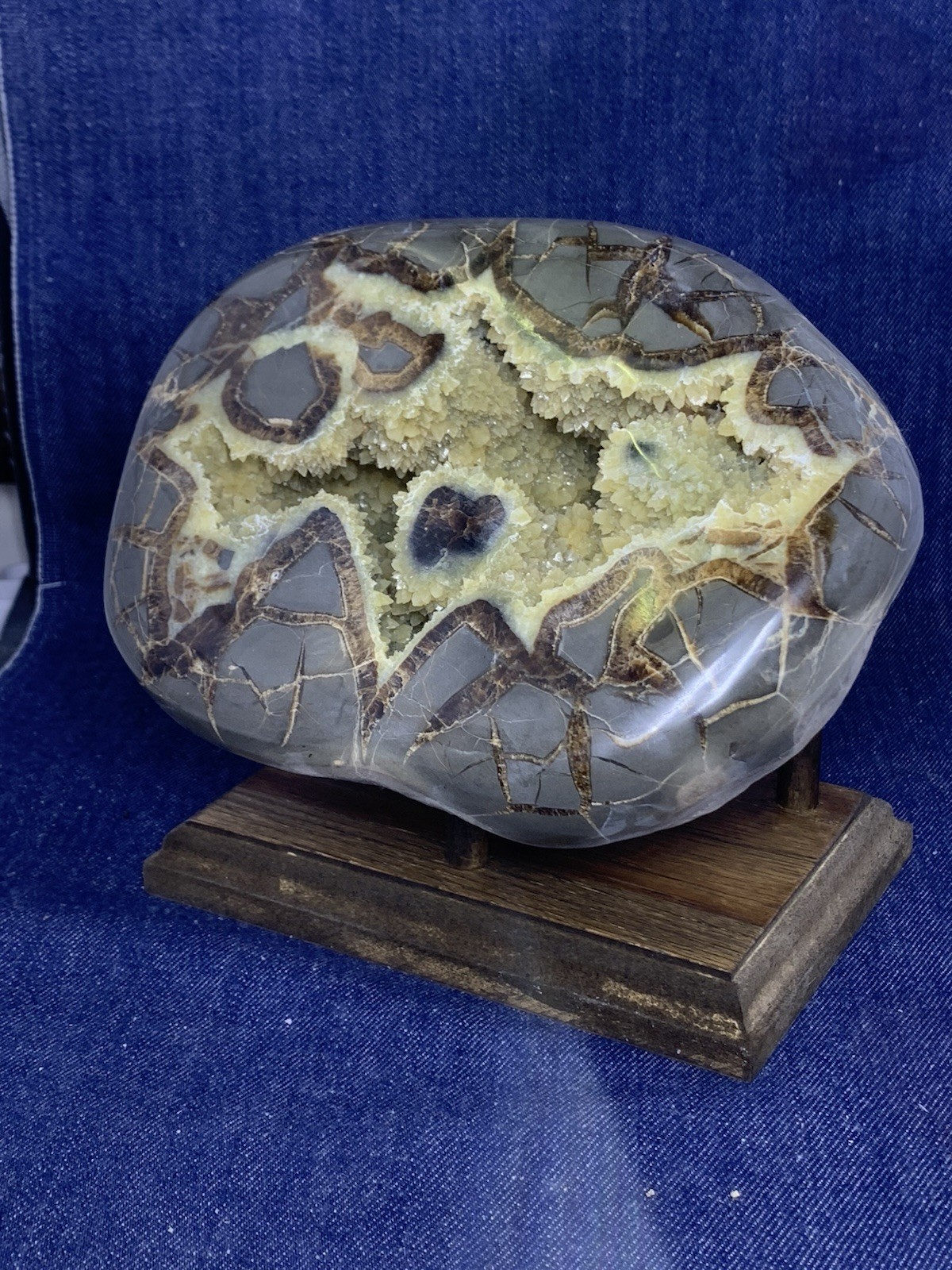Septarian Nodule Dragon Stone Hollow Half ( Utah) Description Card, And Stand