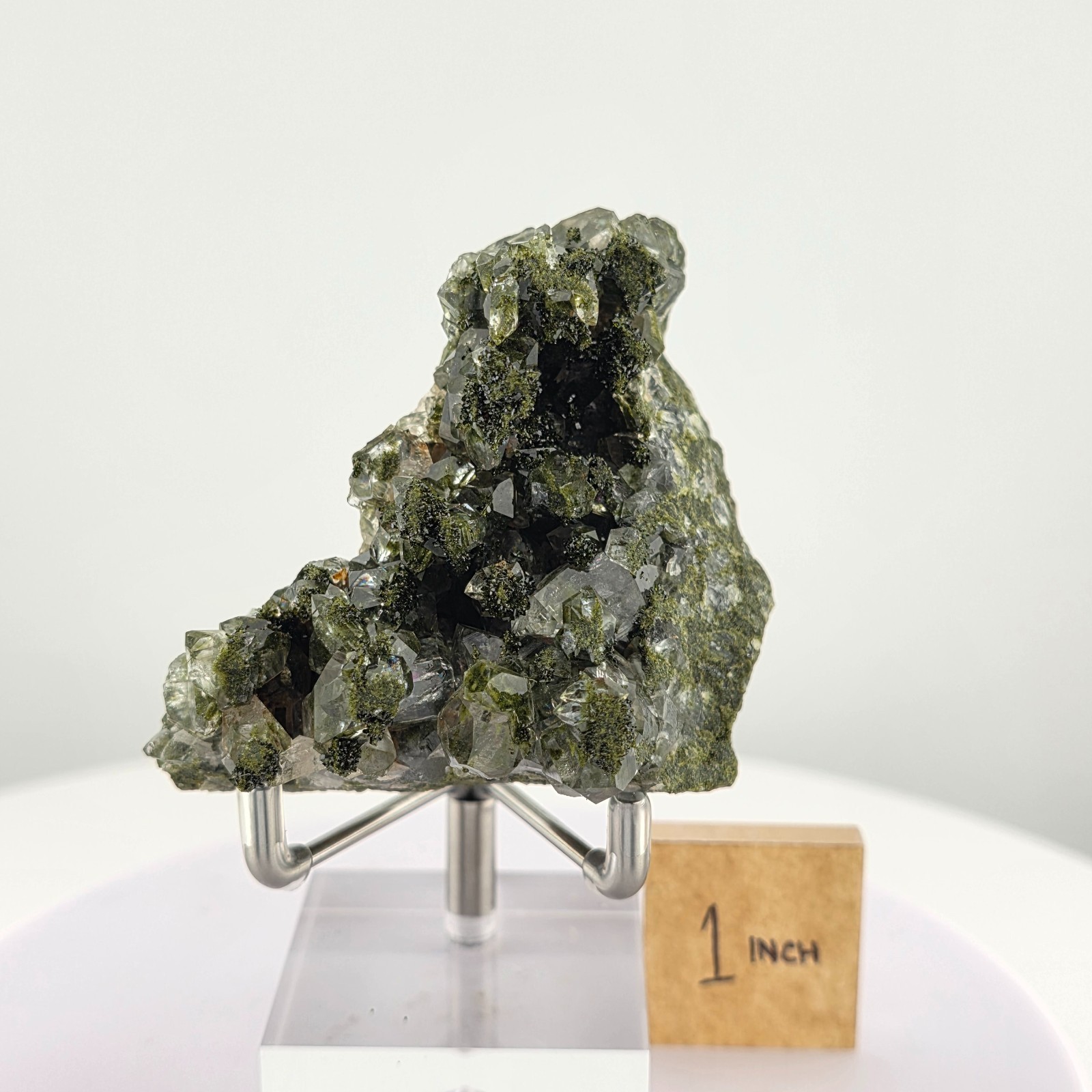 Rich, Forest Green Epidote and High Clarity Quartz