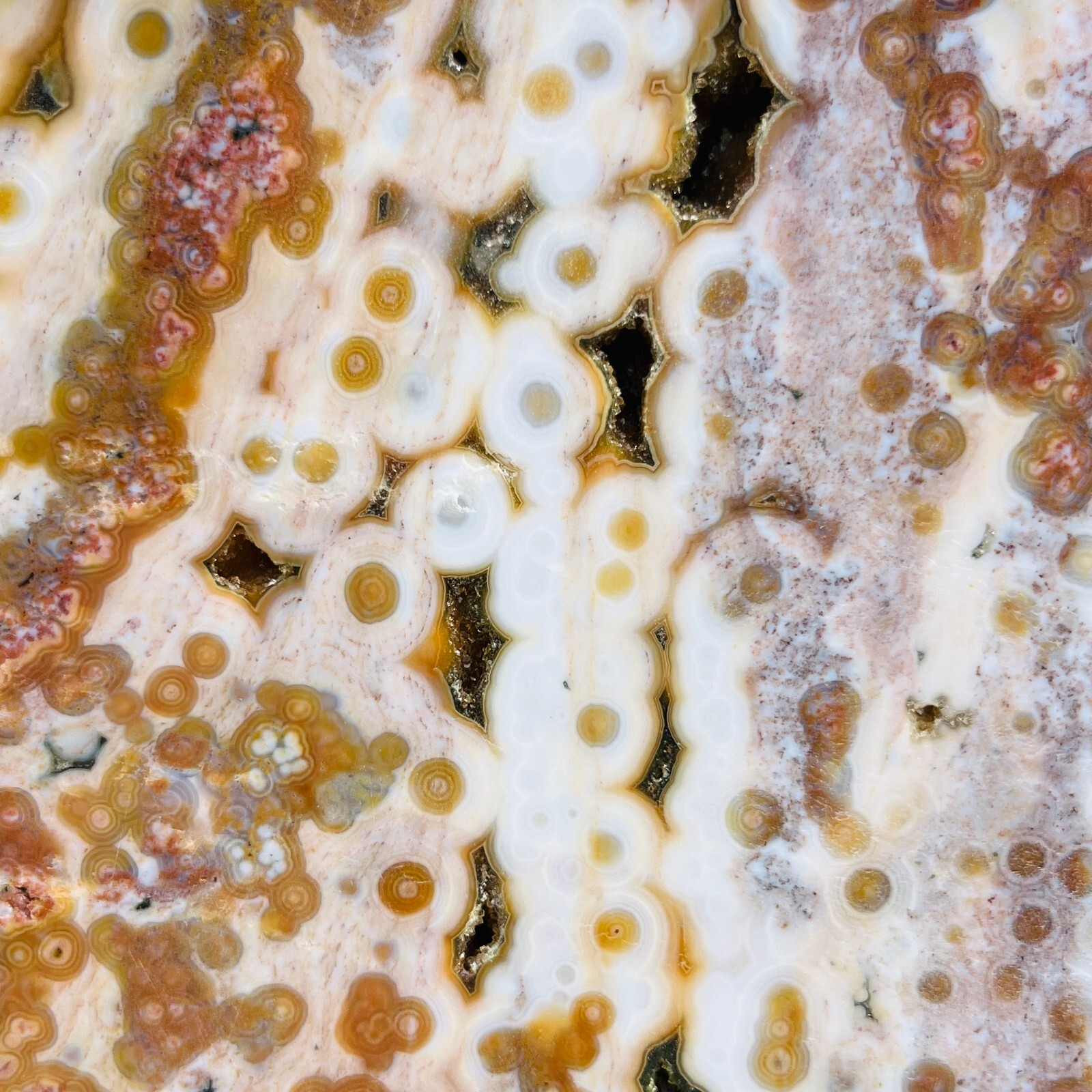3.75LB Rare Natural The 8th Vein Ocean Jasper Slab Quartz Crystal Reiki Healing