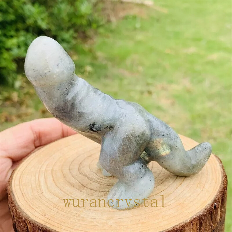 5pc mix Natural Dinosaur penis carved Quartz Crystal skull Reiki healing Random
