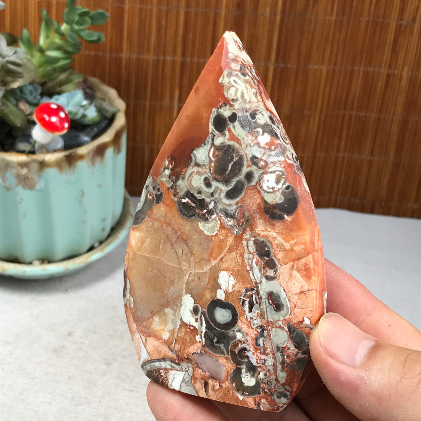 Natural money Mexico agate hand carve leaf Crystal Specimen free standing A6261