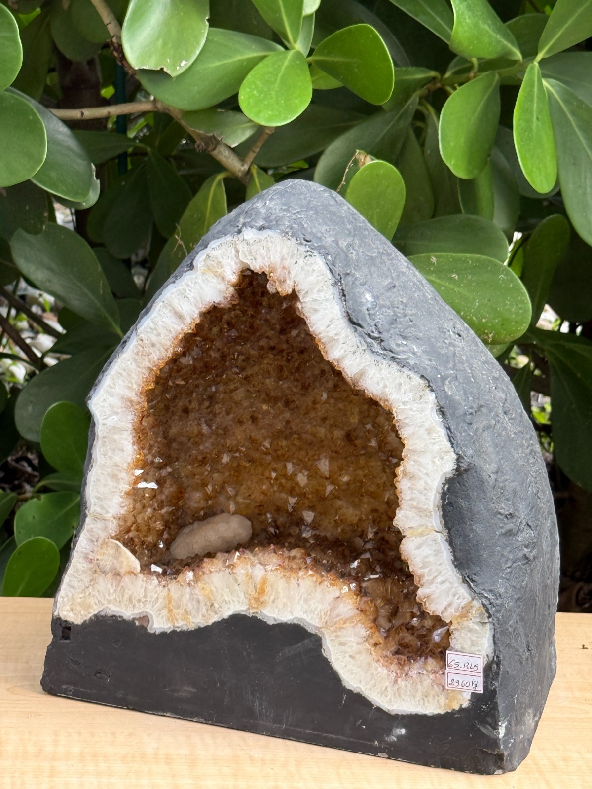 X-Large Citrine Cathedral, Citrine Geode, Honey Citrine Cluster, Pick a Weight