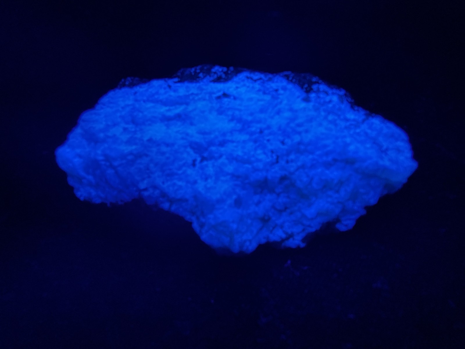 KB: SW FL BRIGHT!! BLUE/WHITE SCHEELITE XLINE. ON GNEISS YUNNAN PROVINCE, CHINA