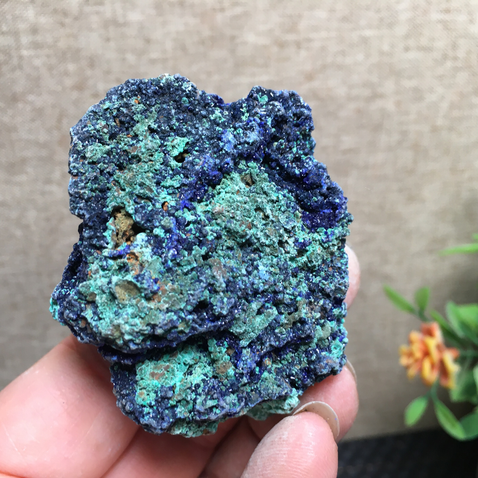 68g Natural Malachite and blue copper ore symbiotic specimens fd139
