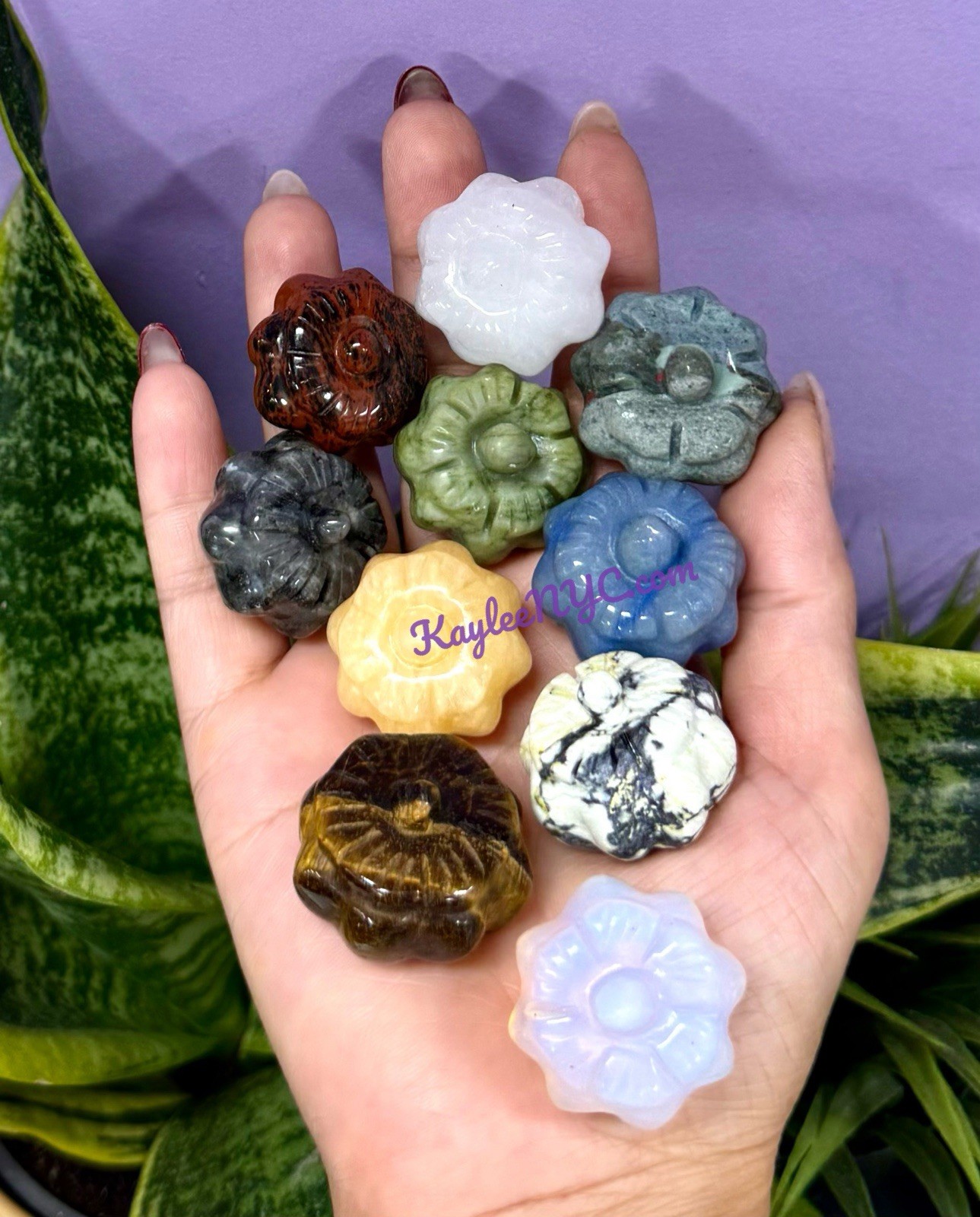 Wholesale Lot 10 Pcs Mixed Crystal Pumpkin Healing Energy