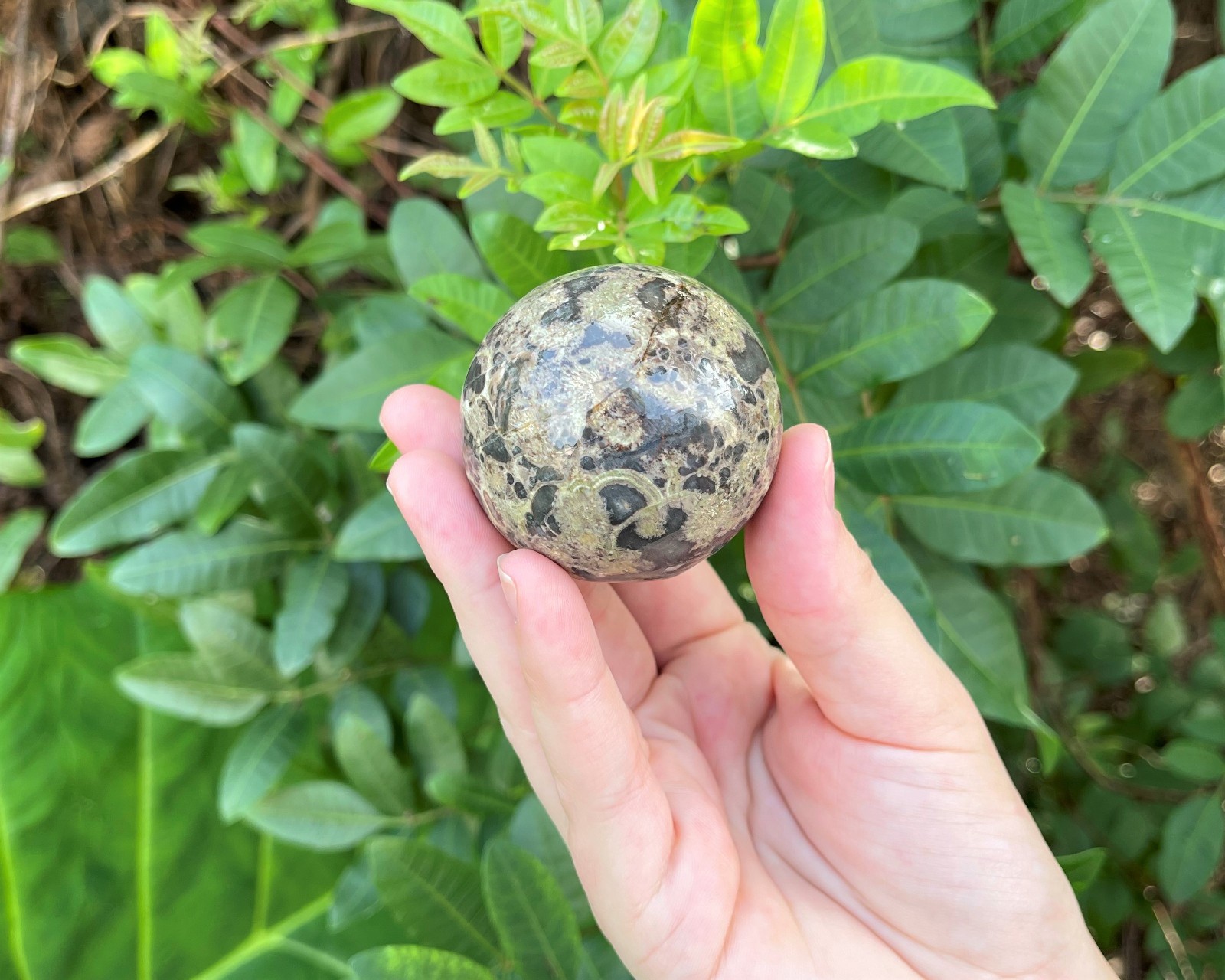 Rhyolite Crystal Sphere with Stand, 1.5″ (‘A’ Grade Polished Rhyolite Spheres)