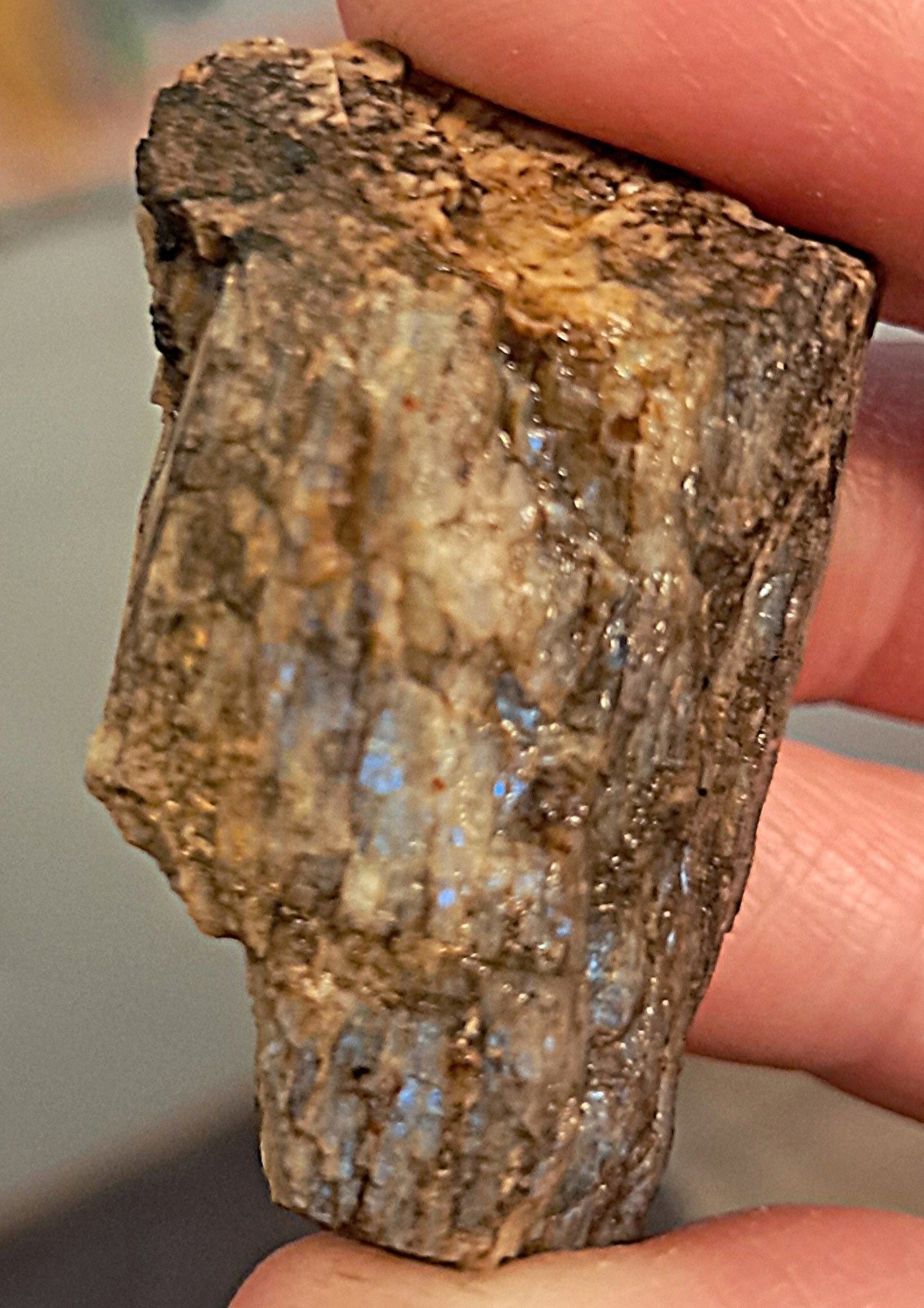 New RARE Raw Wisconsin Moonstone Ethically Hand Mined Lot! Lot #23 1 LB 8oz+