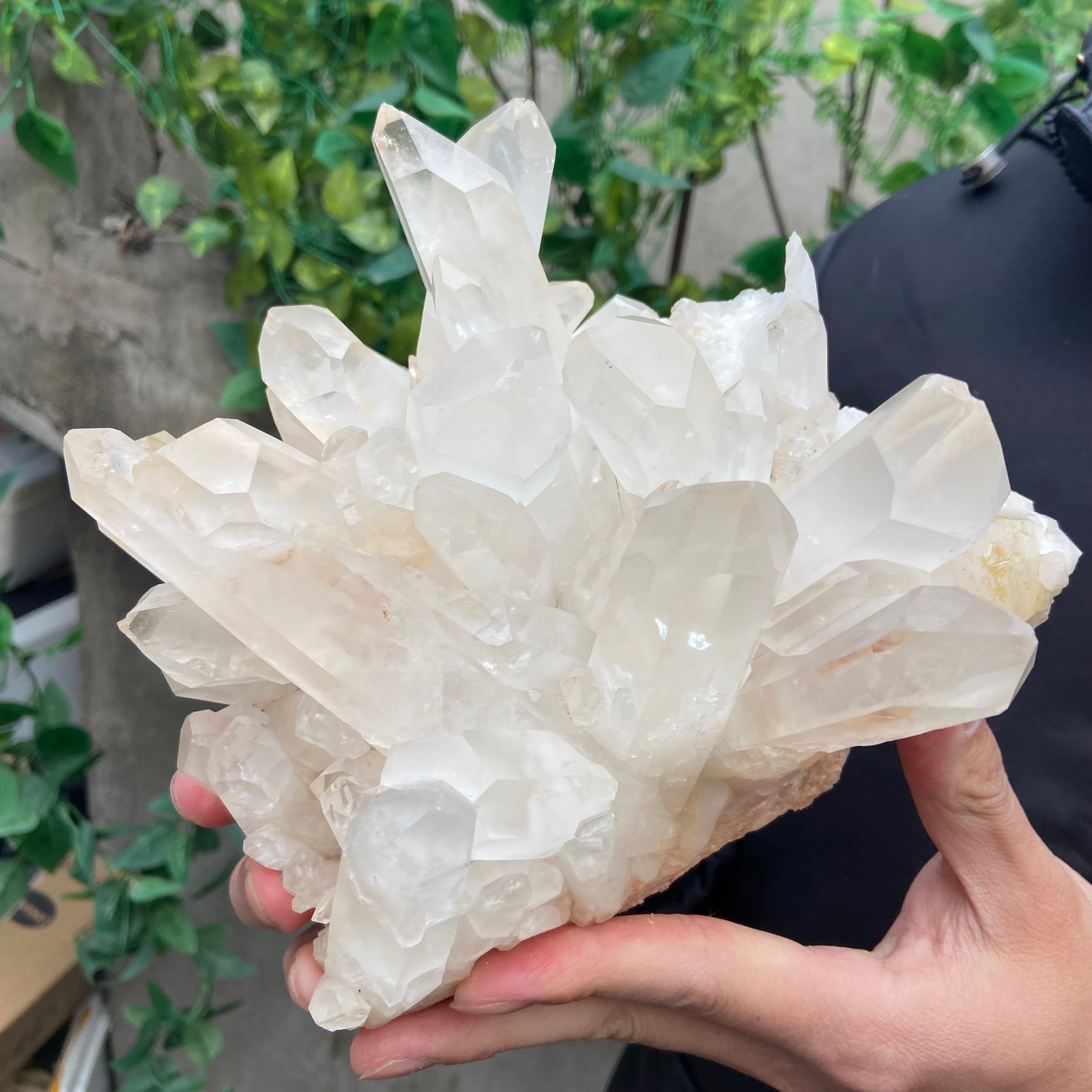 5.7lb Natural Clear White Quartz Crystal Cluster Rough Healing Specimen