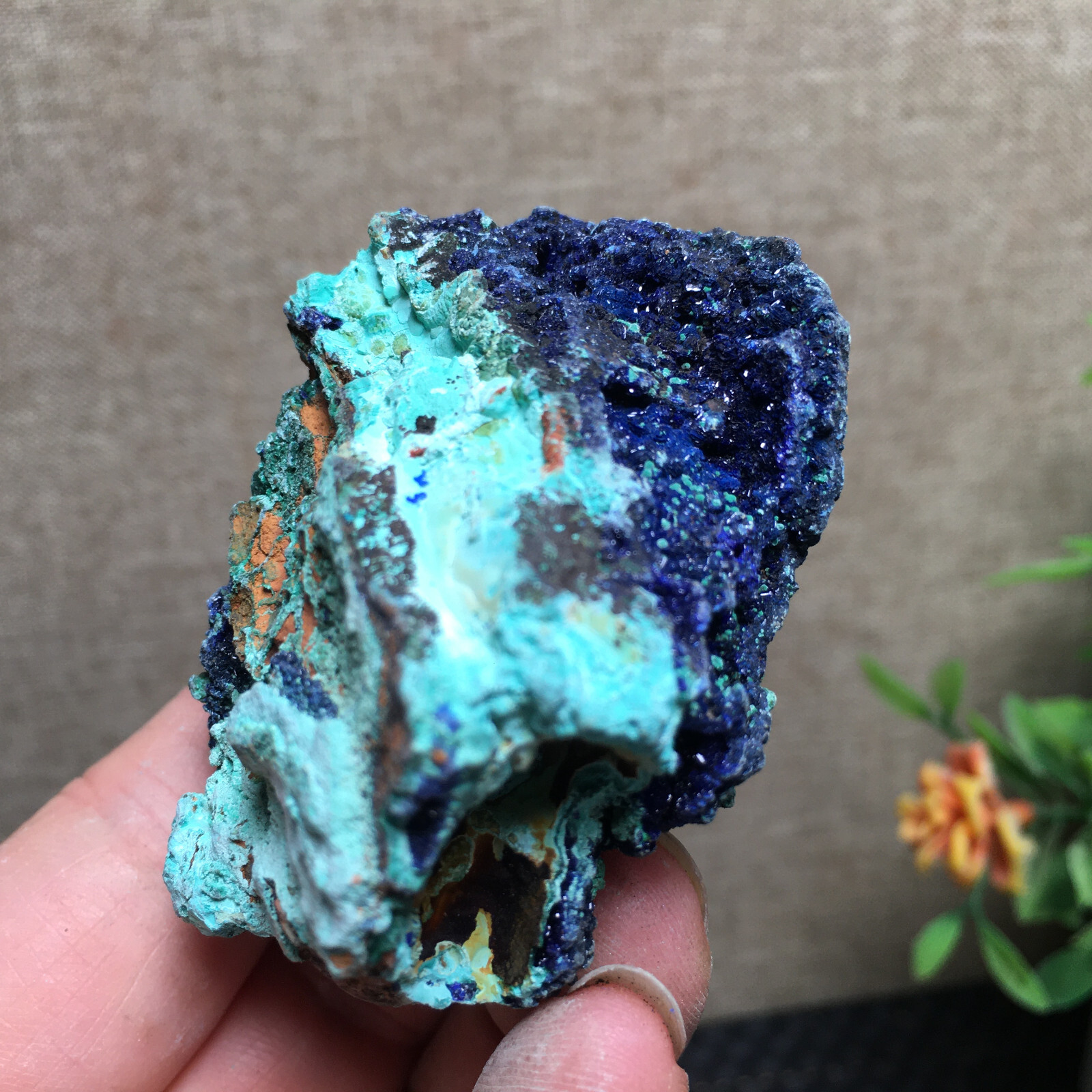 68g Natural Malachite and blue copper ore symbiotic specimens fd139